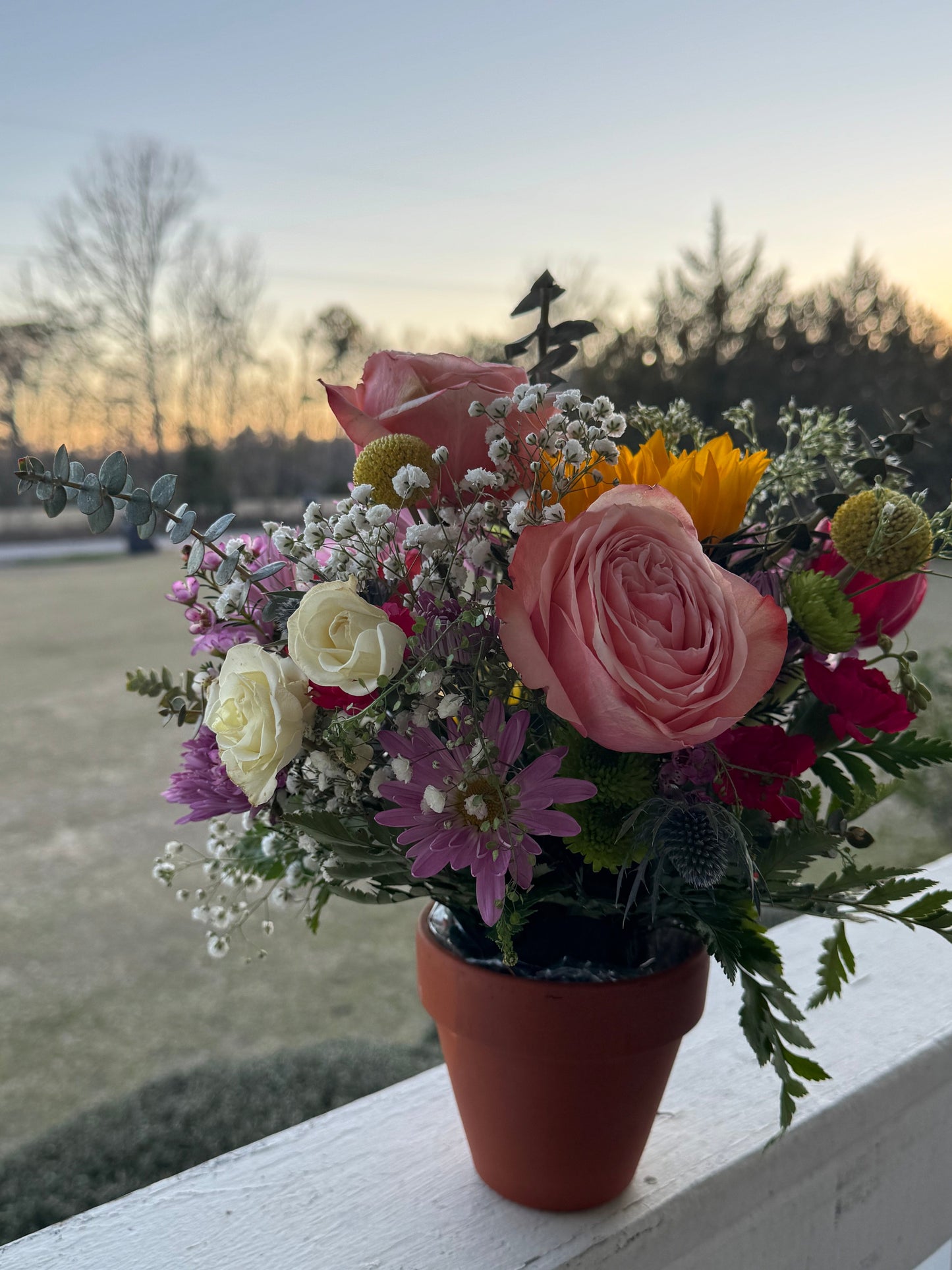 Petal Pop Pot