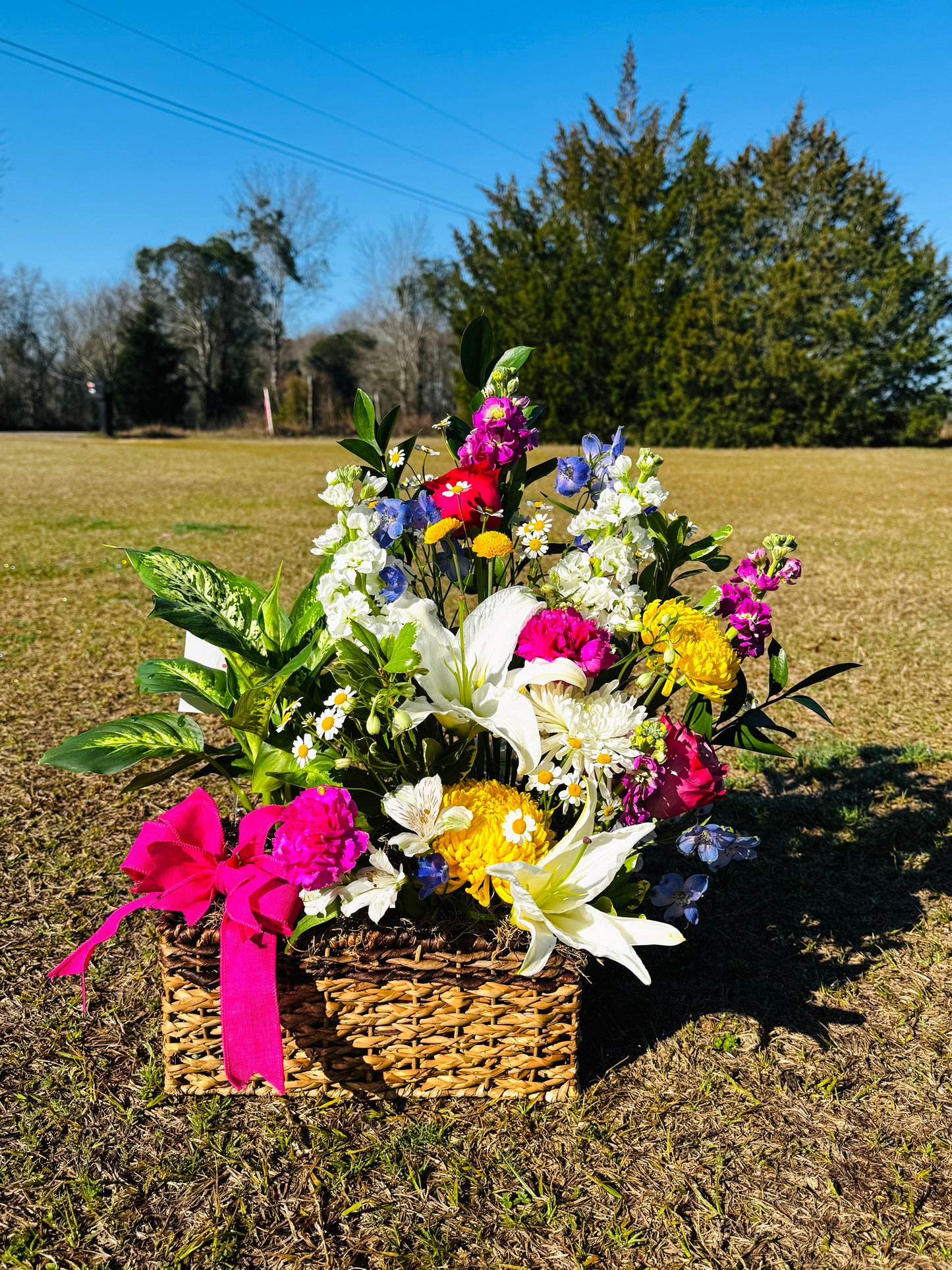 Mixed Garden Basket | North SC Funeral Flowers