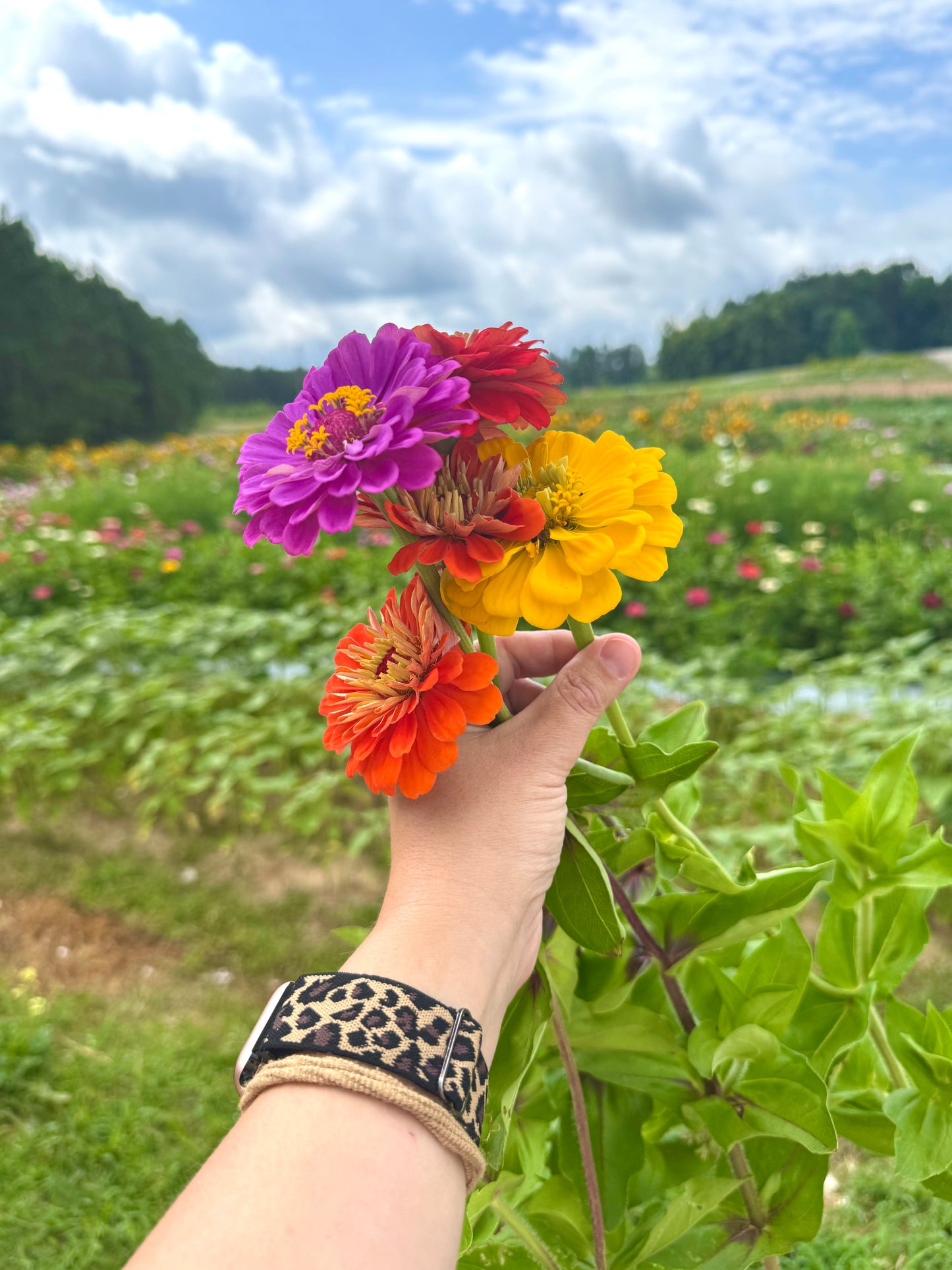 Grow With Us-  Founders Flower Passes