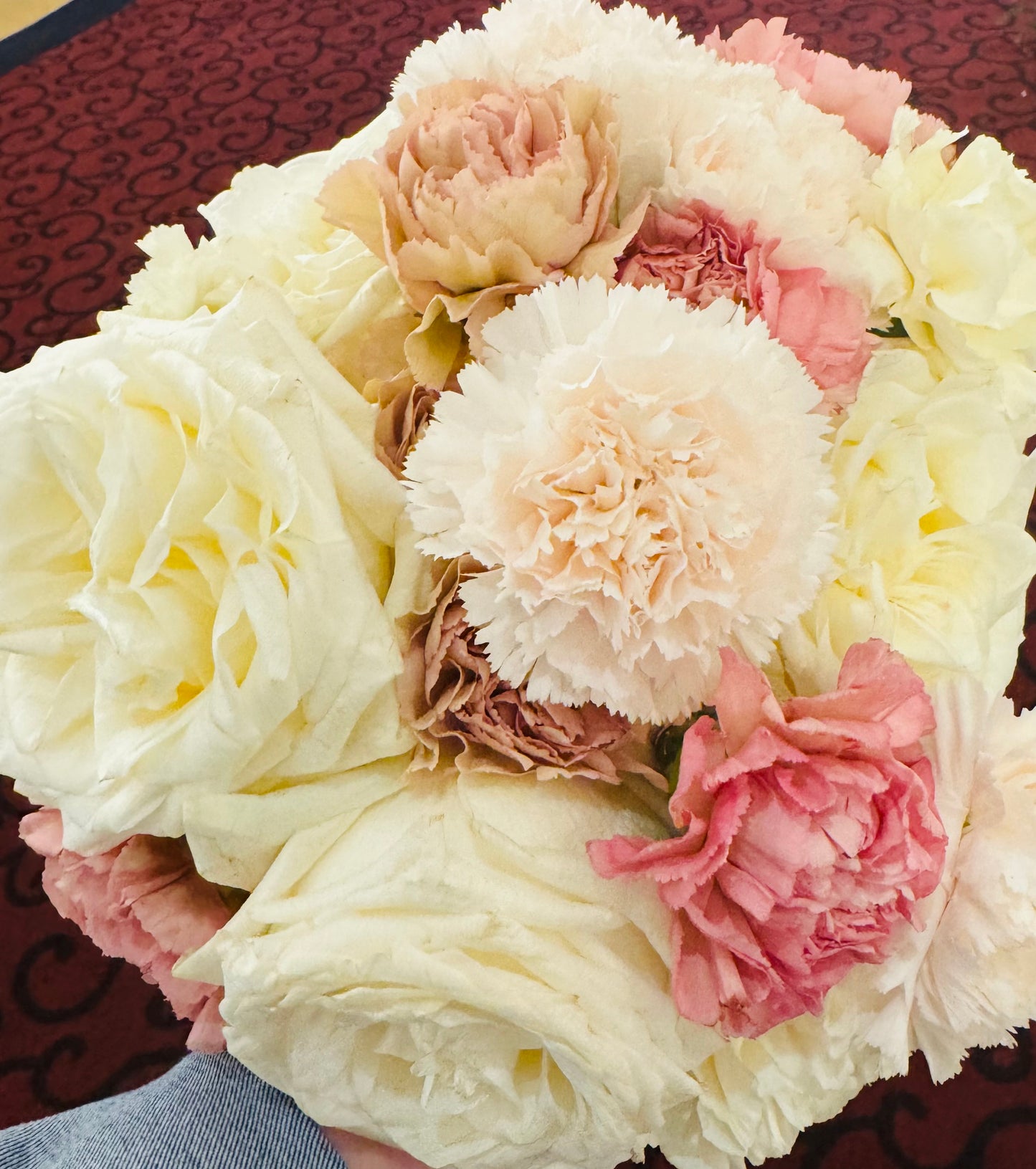 What in Carnation?