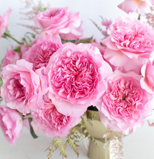 Luxury Rose Specials