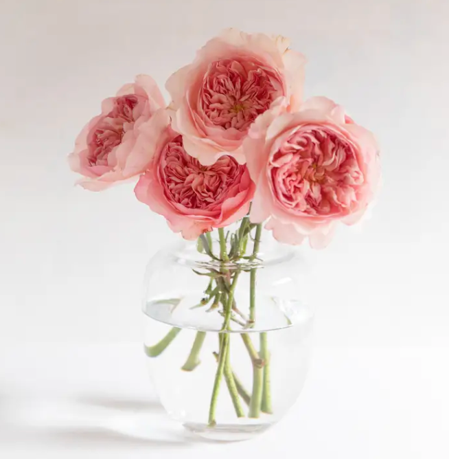 Luxury Rose Specials