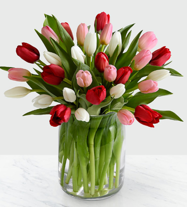 Valentine's Tulips